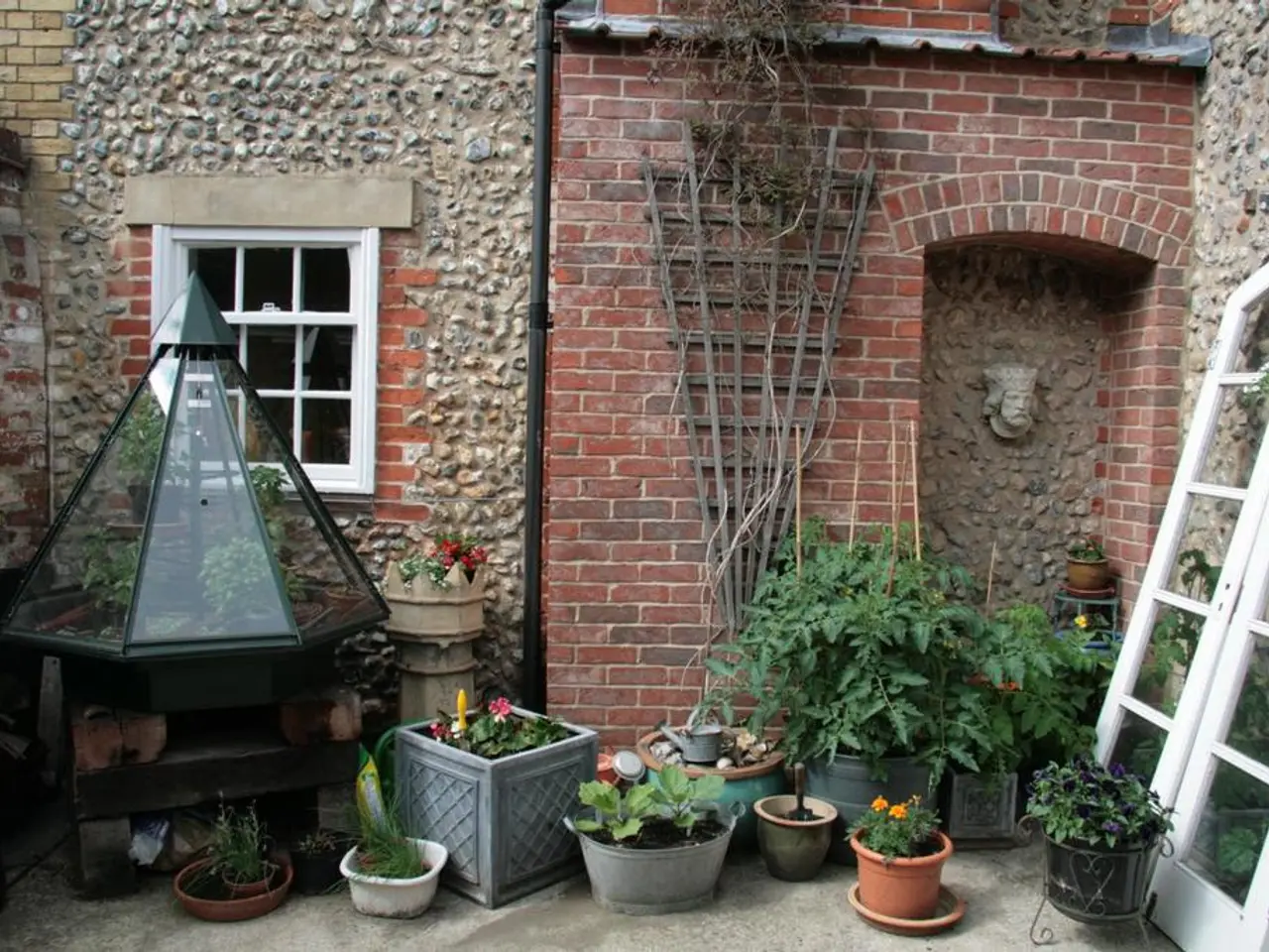 Legally growing marijuana: Steps for a successful harvest