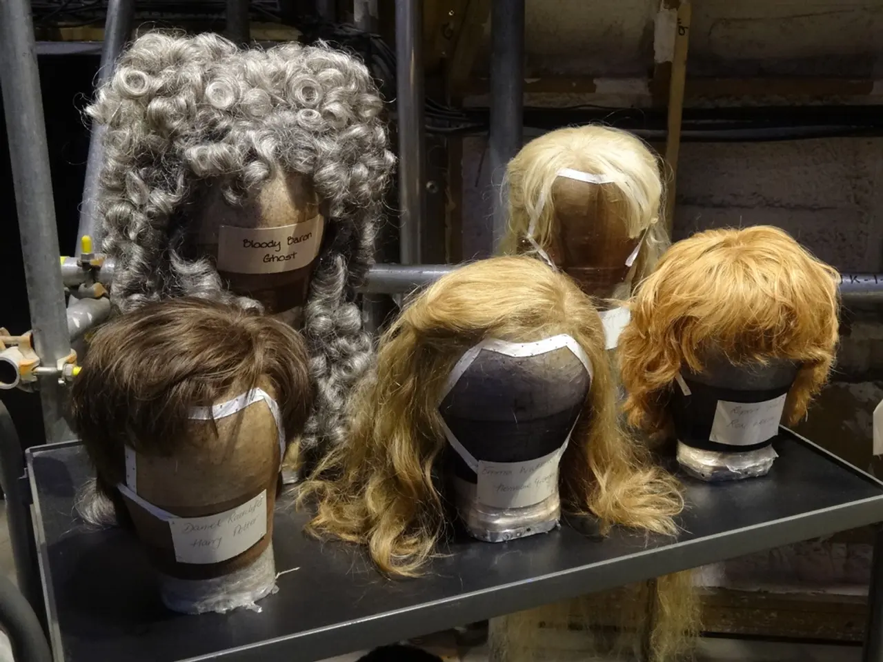 Medicare coverage for wigs for those battling cancer - An inquiry into insurance coverage for wigs...