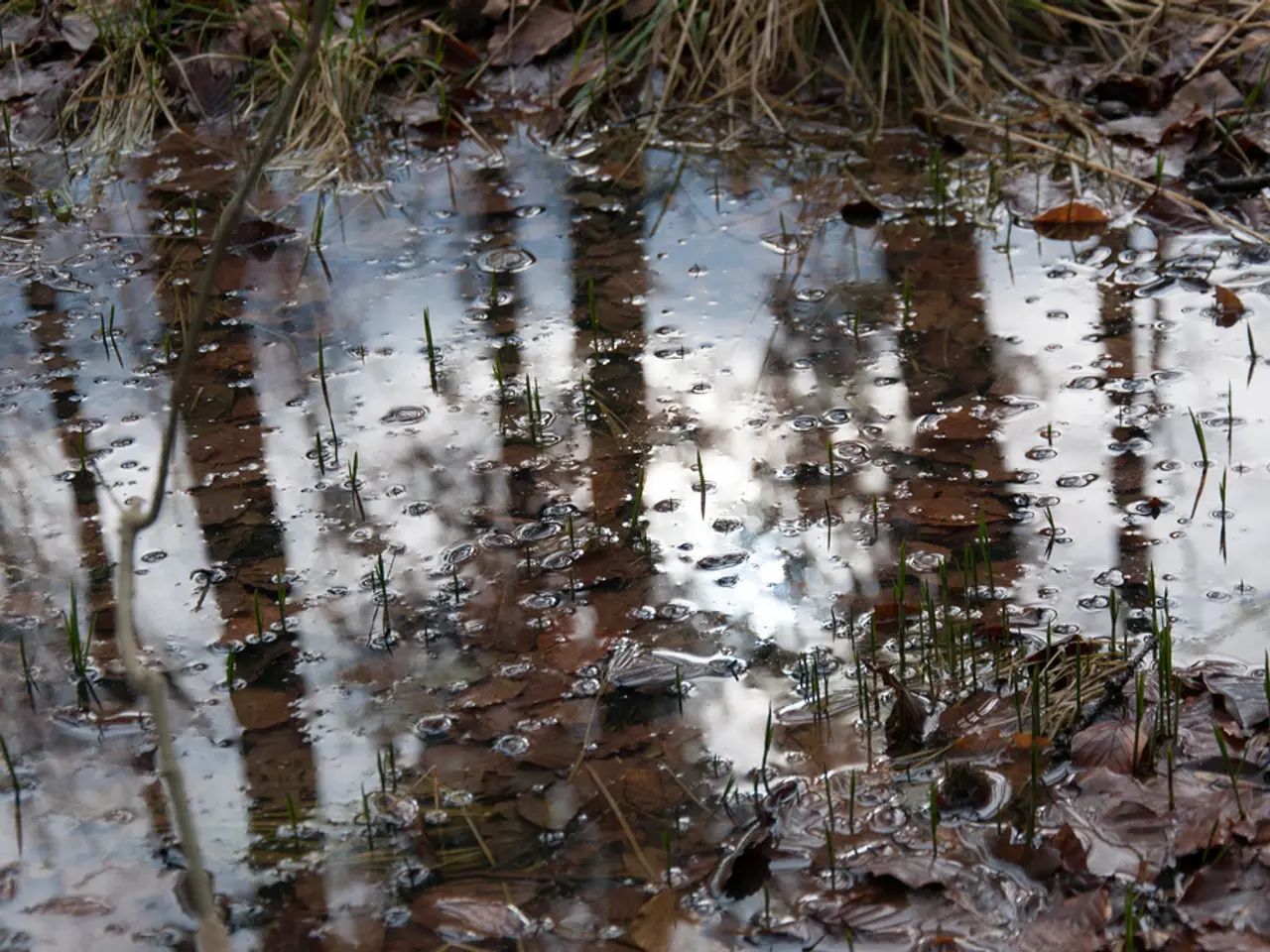 Scientists express concern over a newly identified form of acid precipitation