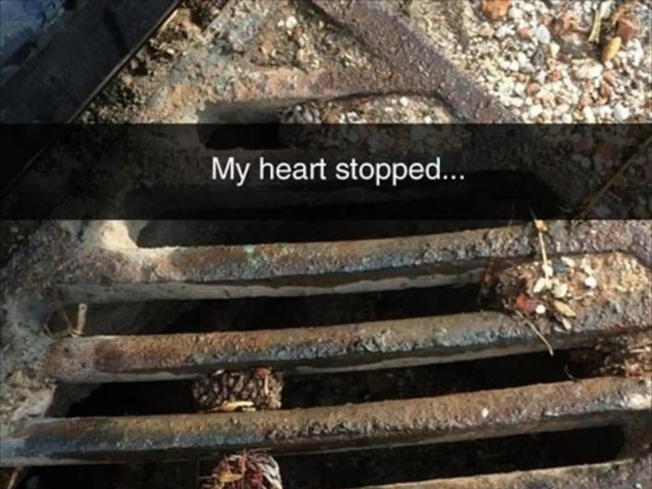 Heart issues: Understanding risk factors, prevention strategies, and additional details