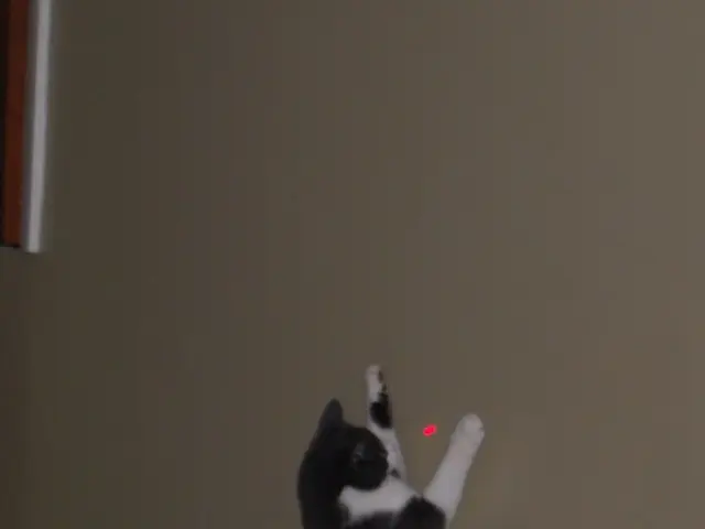 Intense Laser Illumination Treatment for Various Conditions