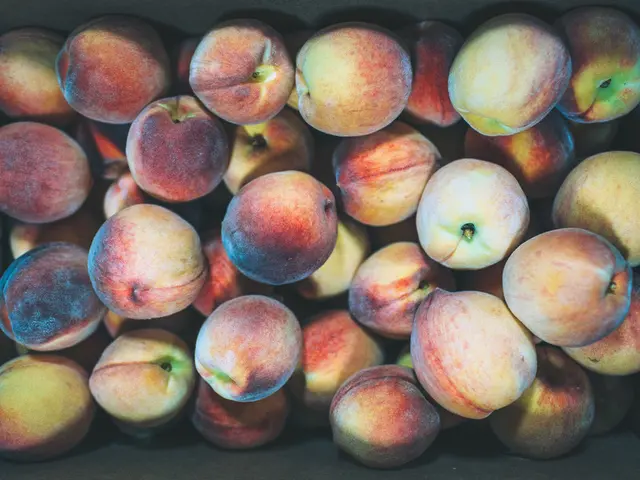 Improve your sleep quality tonight by incorporating more of this specific food group into your...