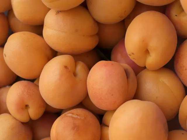 Unapproved shipments of questionable produce from Uzbekistan denied entry to Omsk