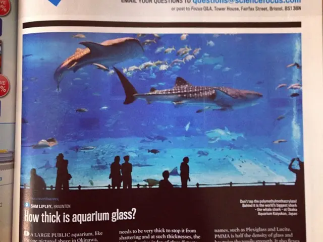 Vascular Health Risk Factors Linked to Enhanced Dementia Risk: Research Insights