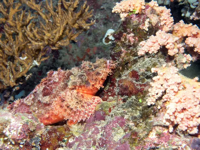 Unveiling the Secret Power: Delving into the Benefits of Thalassotherapy