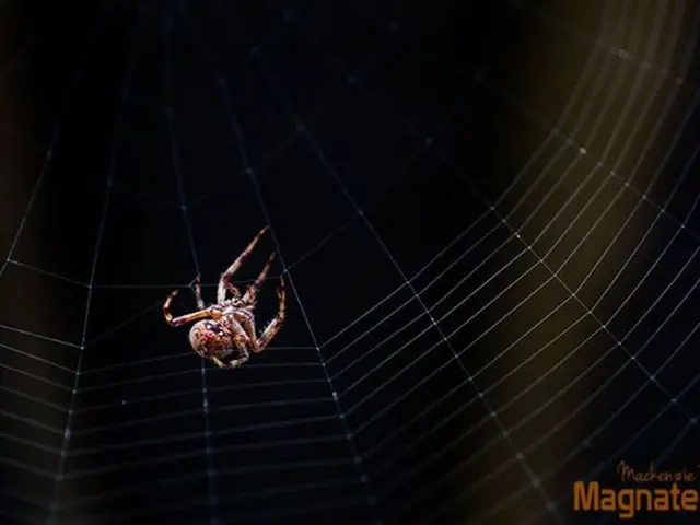 Interpreting the cryptic symbolism within nightly visions