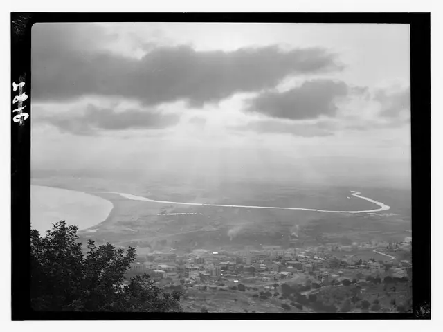Struggles Illuminated: Bipolar Disorder's Impact on Personal Appearance Through the Lens of Hair