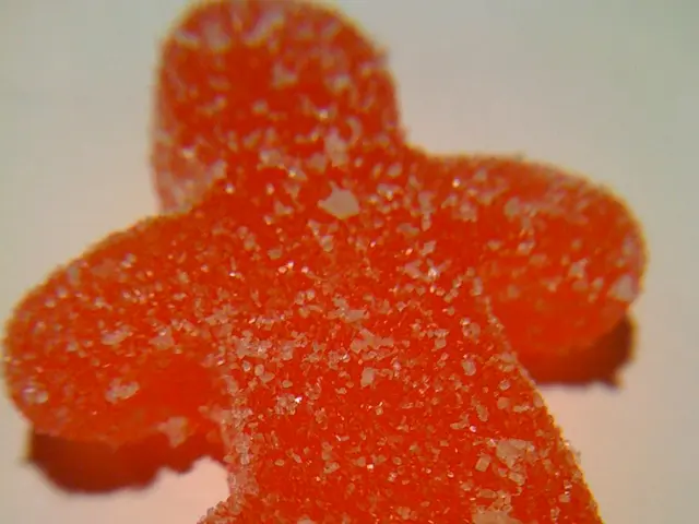 Optimal Sugar Consumption Timings: Practical and Advantageous Insights