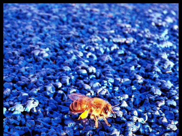 Exploring Moonstones and Adularescence: Unveiling the Lore and Luminescence of these Enchanting...