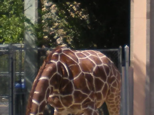 Prison inmates in Bulgaria aim for early release by crafting sought-after dairy goods