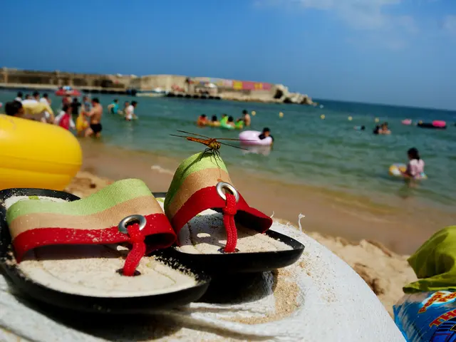 Strategies for a Healthy Summer: Recommendations and Cautions to Follow