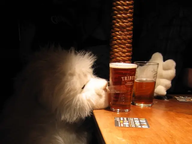 Understanding Canine Glaucoma: Essential Information for Dog Owners