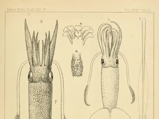 Pythons have a remarkable ability to digest bones, facilitated by distinctive cells in their...