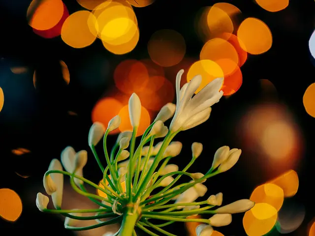 Symptoms, Causes, and Treatment of Seasonal Depression Known as Seasonal Affective Disorder (SAD)