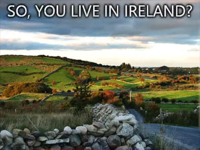 Impact of Wildfire Smoke on Personal Health