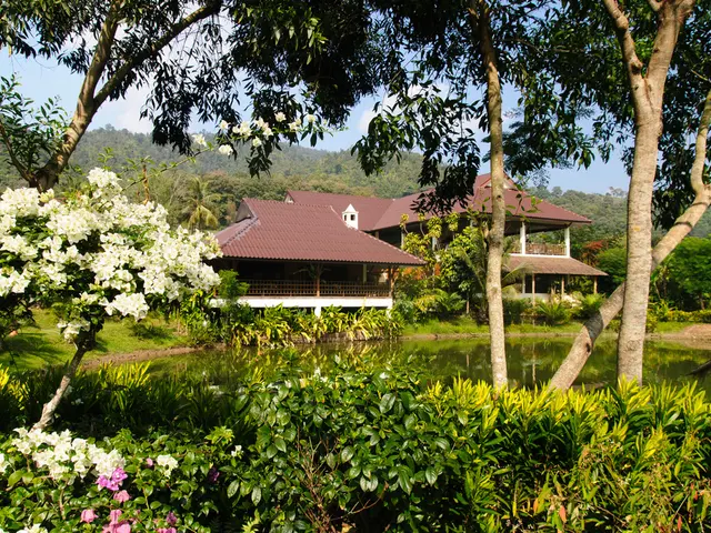 Aging Minds and the Fight Against cognitive Decline: Bracing for Dementia's Challenge