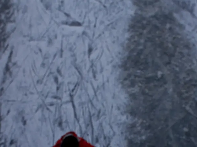 Navigating Illness and Exercise: Is It Better to Rest or Keep Active?