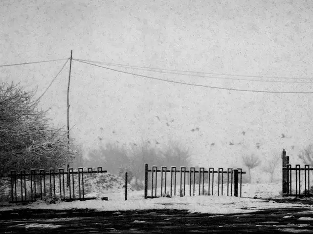 Impact of Severe Climate on Brain Functioning