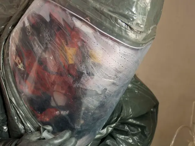 Delay in implementing stricter regulations on ethylene oxide emissions for device sterilizers by...