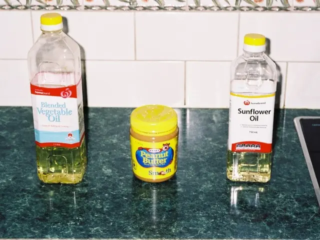 Hydrogenated Oil: Understanding Its Nature and Potential Harm - Gain Insights Here