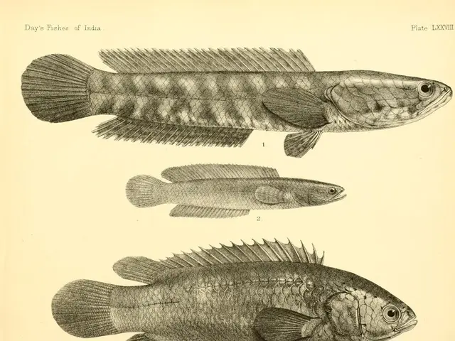 Is there any advantage to men consuming fish oil?