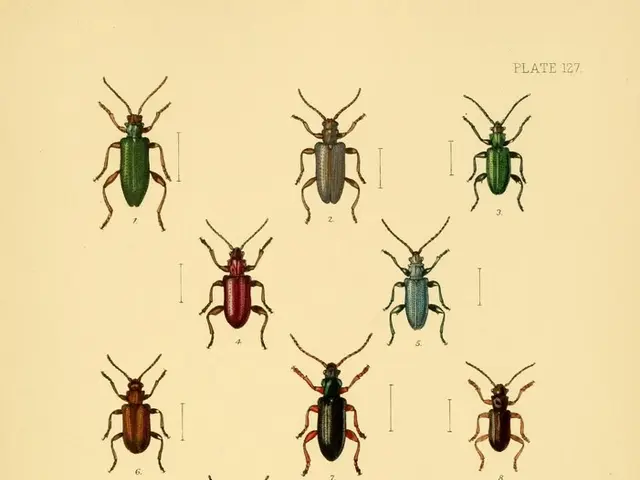 Struggle of Hungary's Ancient Library to Preserve 100,000 Books Amidst Beetle Infestation Crisis