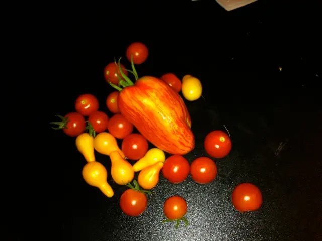 List of Low-Acid Foods for Managing Acid Reflux