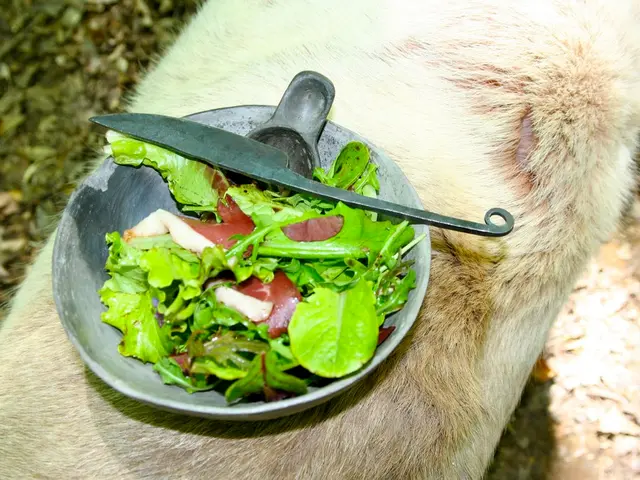 InterviewQ: Fecal microbiota transplant for managing ulcerative colitis