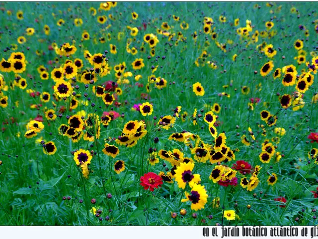 NASA's Thrilling Find: A World Similar in Size to Earth Located in the Goldilocks Zone