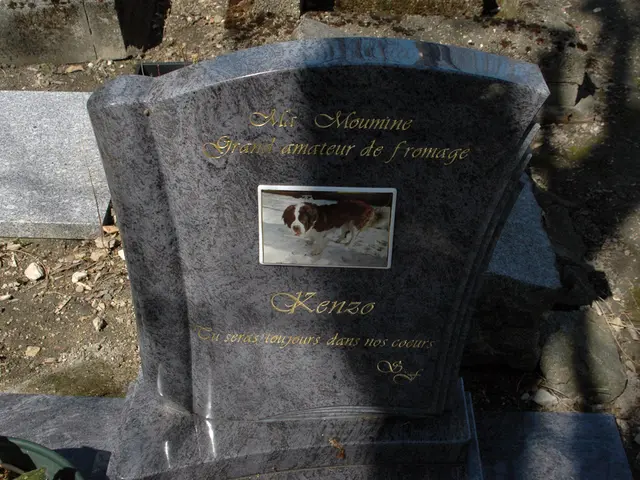 Emotional mix of sadness and optimism showcased