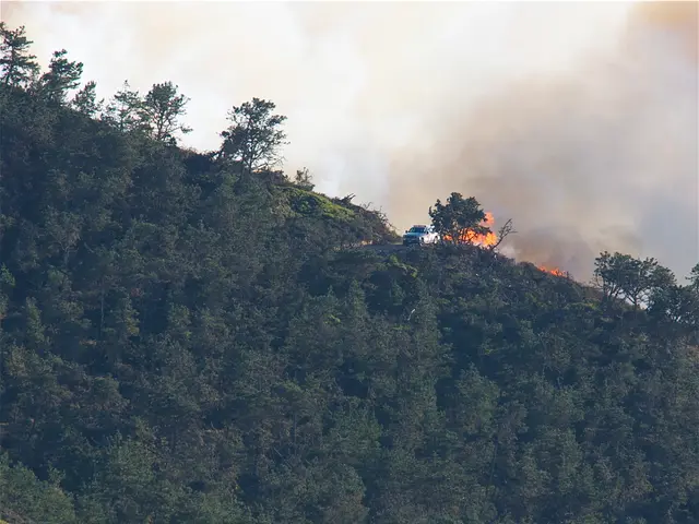 Wildfires in Canada produce air pollution that negatively affects wide regions within the Midwest.