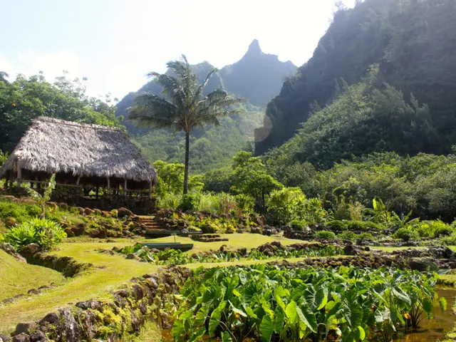 Various vascular ailments and their associated symptoms