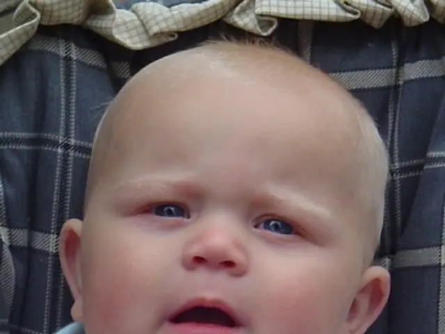 Tragic incident in New Zealand: Toddler (2) suffocates in luggage - suspicion falls on mother