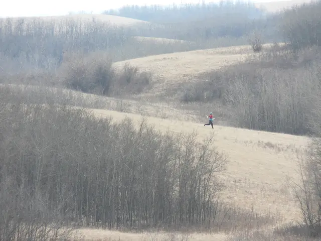 Thermal Regulation and Targeted Ventilation in Compressport