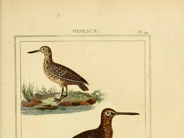 Unveiled Findings: Avian Vocalizations Have Unexpected Purposes, Claims Research