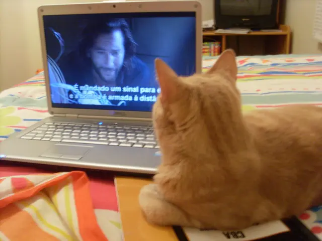 Neurofeedback: An Easy-to-Understand Guide