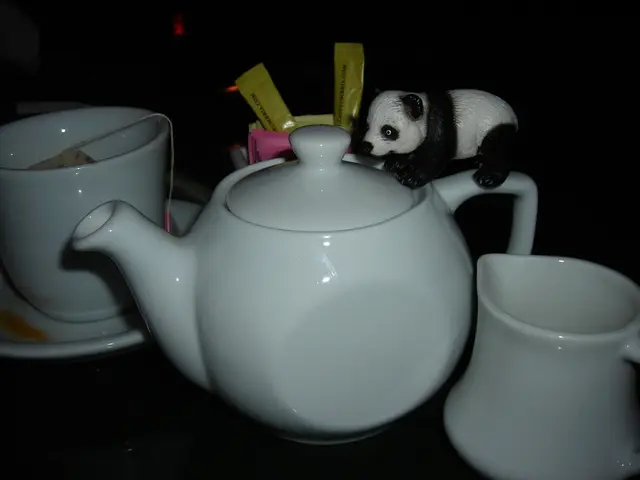 Tea Tree Oil for Canines: Safety Evaluation