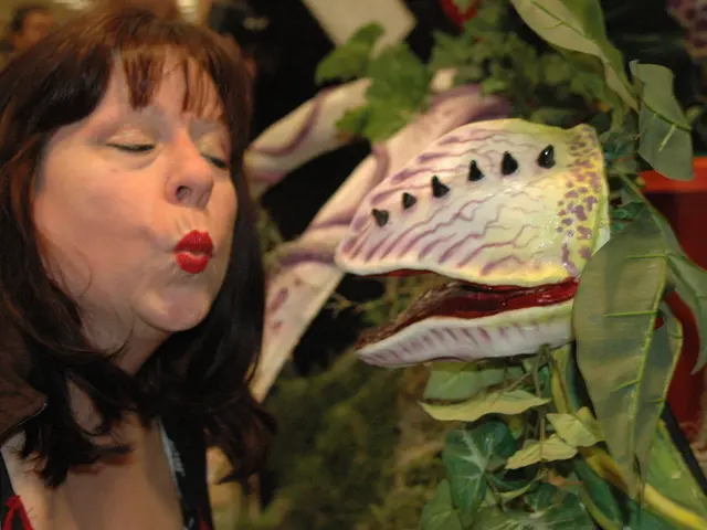 Female Stroke Symptoms: Recognizing Signs and Follow-up Actions