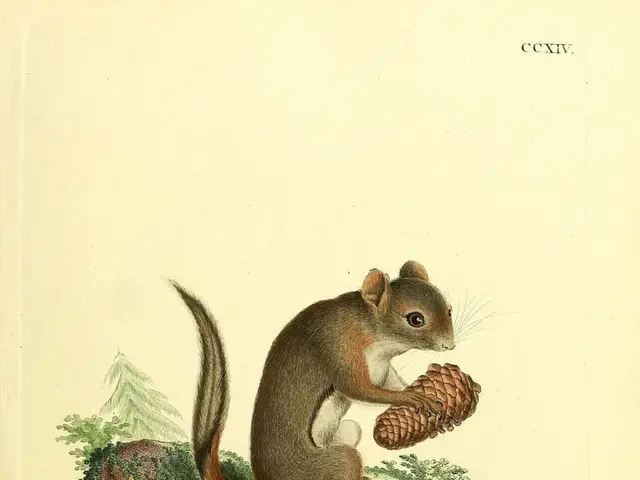 Advisement on Well-being: