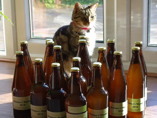 Examining the Transient Manifestations of Post-Acute Withdrawal Syndrome and Its Impact on the...