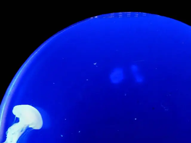 Absence of Vibrio-related illnesses reported in Turkey, Health Ministry verifies