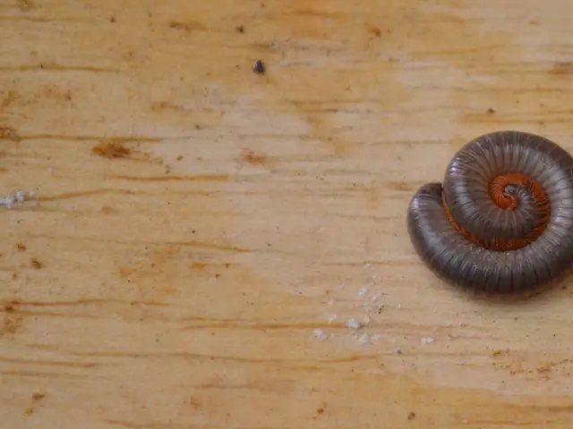 Job Posting for TU Teaching Hospital: Available Positions in 2082