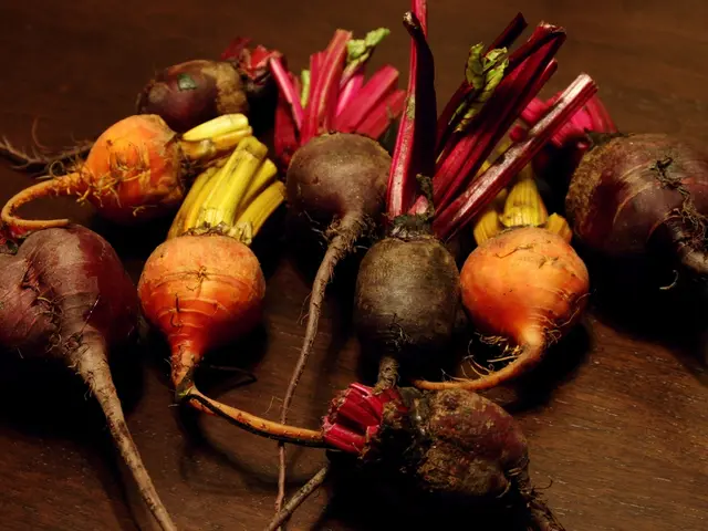 Benefits, Applications, Risks, and Additional Information Regarding Beetroot Powder