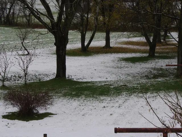 Understanding Fertilizer Composition Simplified