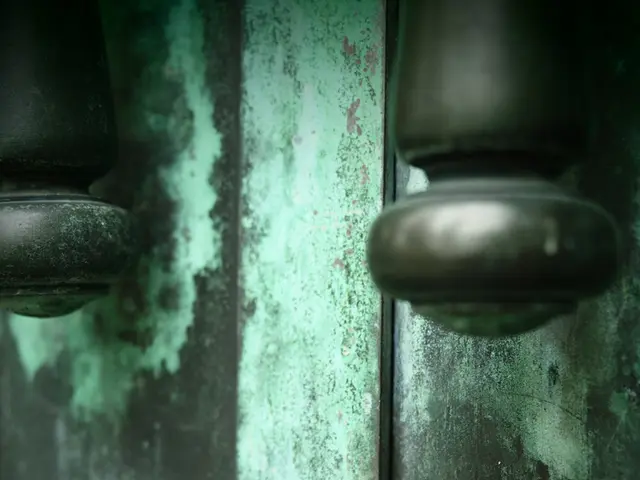 Strategies for Erasing a Female's Profile Picture or Appearance