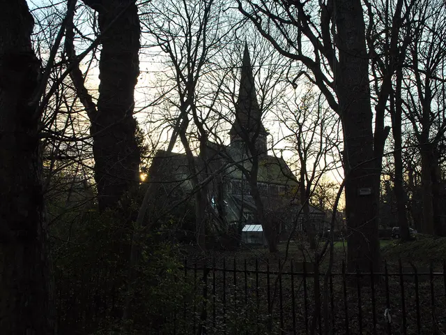 Anticipated temperatures to reach a maximum of 38 degrees