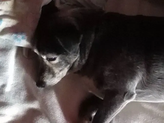 Sudden, Unexplained Nerve Incident (Not Stress-Related) Occurs Near the Brink of Slumber