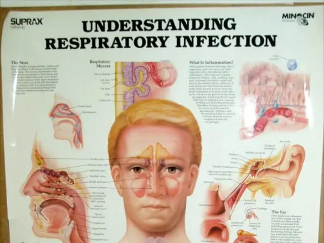 Exploring the Link Between Mind and Body: A Deep Dive into the Physiological Impact of Emotions and...