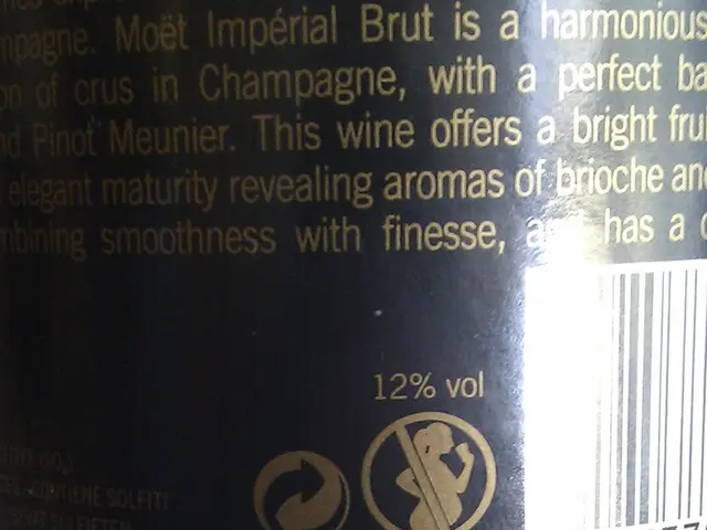 Significance of SAP Assessment and Proficient Guidance in Rehabilitation Process Georgia