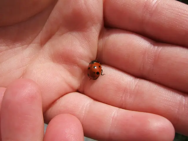 Medical Condition: Russell's Sign; Triggers, Recognizing, and Seeking Medical Advice